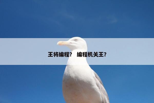 王将编程？ 编程机关王？