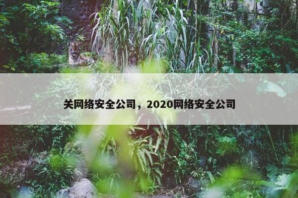 关网络安全公司，2020网络安全公司