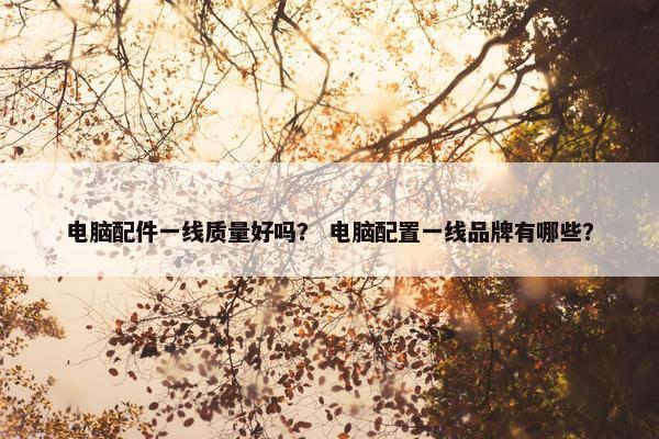 电脑配件一线质量好吗？ 电脑配置一线品牌有哪些？