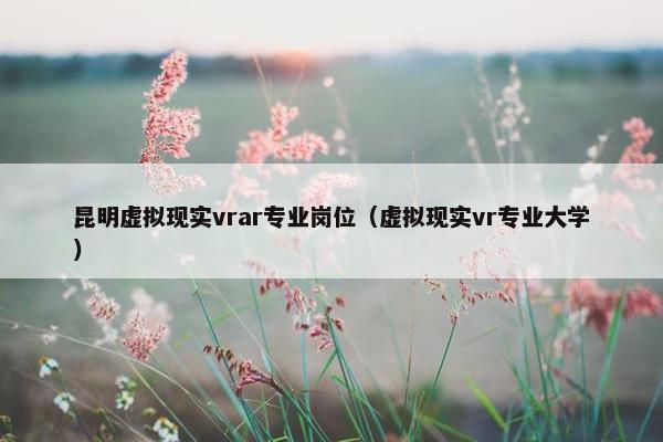 昆明虚拟现实vrar专业岗位（虚拟现实vr专业大学）