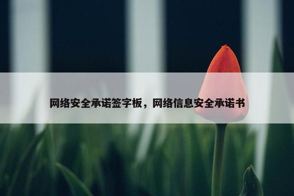 网络安全承诺签字板，网络信息安全承诺书