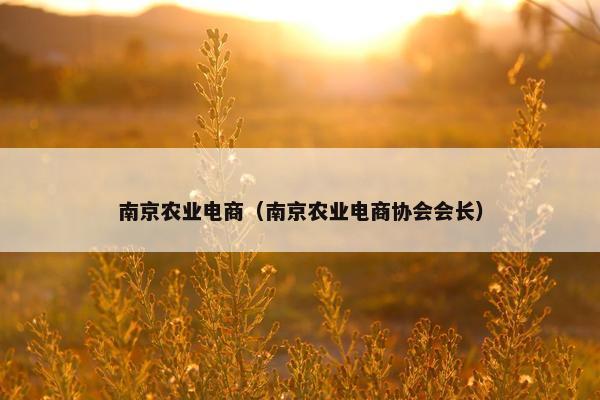 南京农业电商（南京农业电商协会会长）