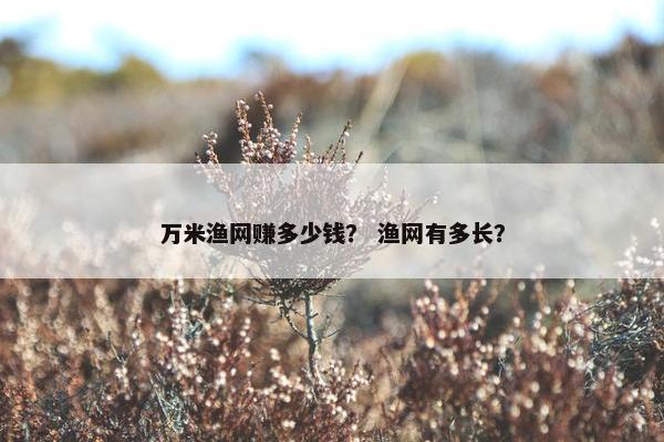 万米渔网赚多少钱？ 渔网有多长？