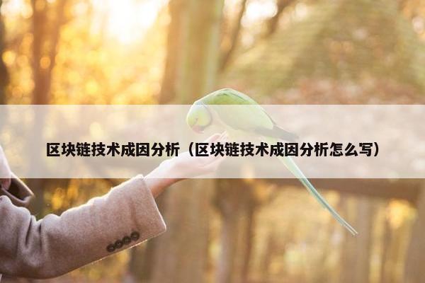 区块链技术成因分析（区块链技术成因分析怎么写）