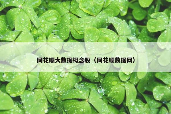 同花顺大数据概念股（同花顺数据网）