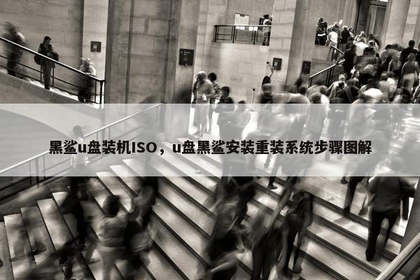 黑鲨u盘装机ISO，u盘黑鲨安装重装系统步骤图解