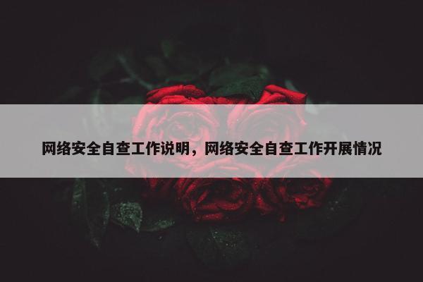 网络安全自查工作说明，网络安全自查工作开展情况