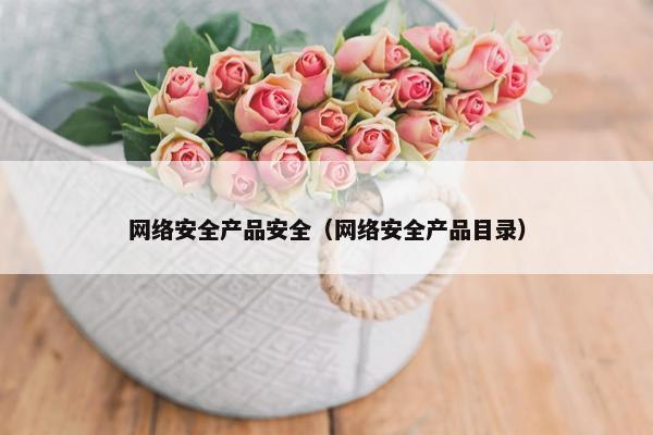 网络安全产品安全（网络安全产品目录）