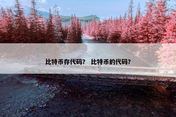 比特币存代码？ 比特币的代码？