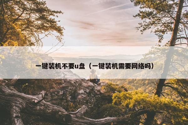 一键装机不要u盘（一键装机需要网络吗）