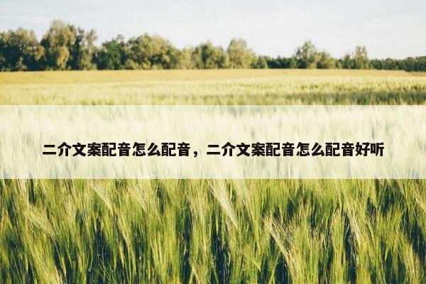 二介文案配音怎么配音，二介文案配音怎么配音好听