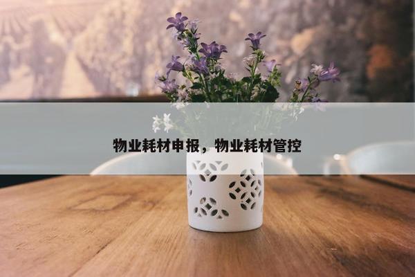 物业耗材申报，物业耗材管控