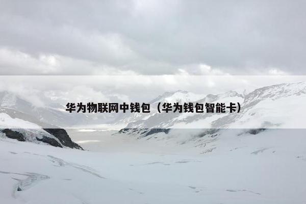 华为物联网中钱包（华为钱包智能卡）