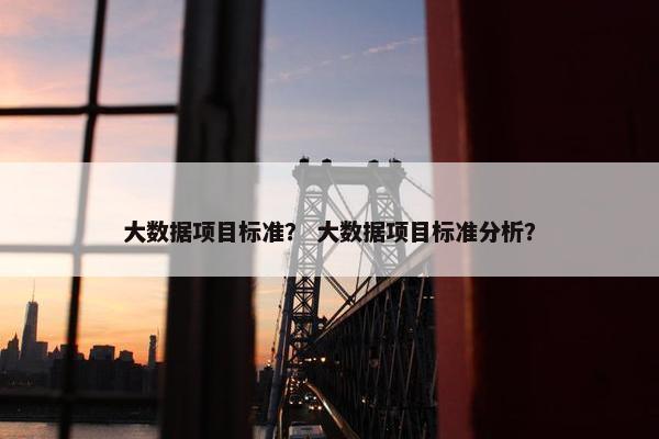 大数据项目标准？ 大数据项目标准分析？