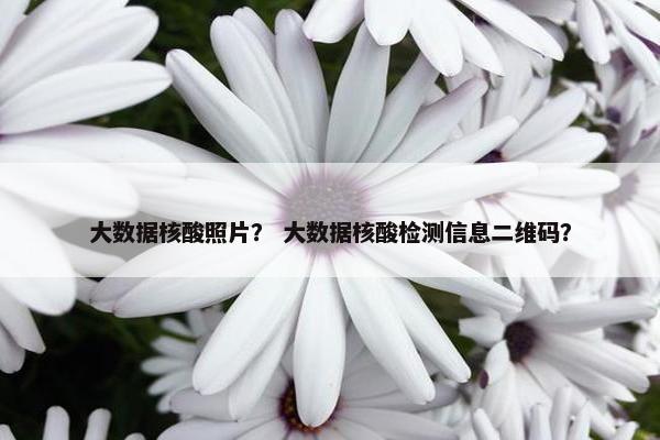大数据核酸照片？ 大数据核酸检测信息二维码？
