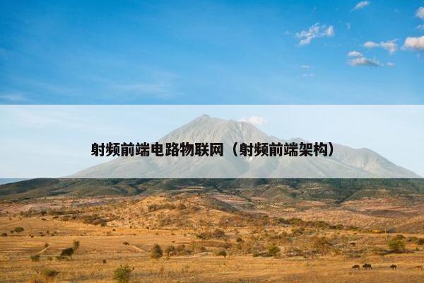 射频前端电路物联网（射频前端架构）