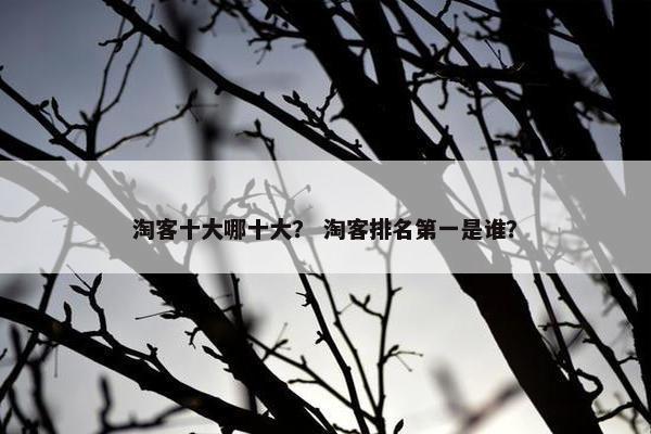 淘客十大哪十大？ 淘客排名第一是谁？
