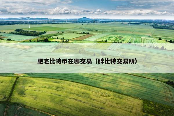 肥宅比特币在哪交易（胖比特交易所）