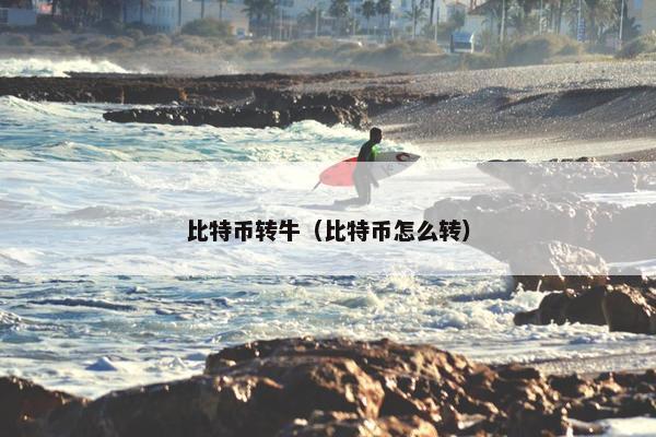 比特币转牛（比特币怎么转）