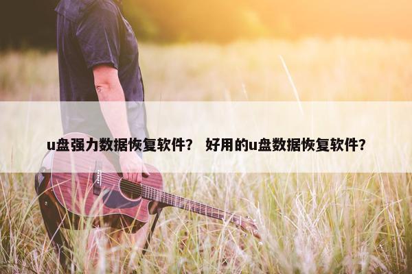 u盘强力数据恢复软件？ 好用的u盘数据恢复软件？