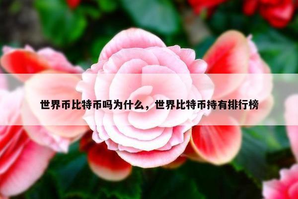 世界币比特币吗为什么，世界比特币持有排行榜