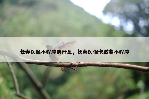 长春医保小程序叫什么，长春医保卡缴费小程序