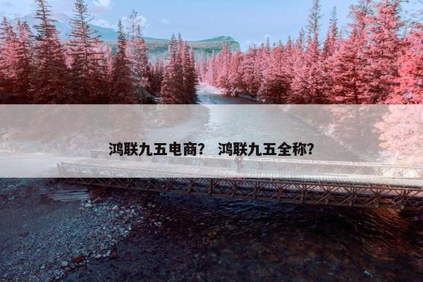 鸿联九五电商？ 鸿联九五全称？