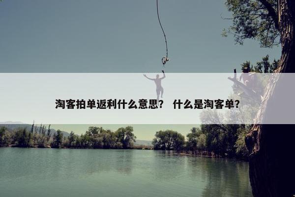 淘客拍单返利什么意思？ 什么是淘客单？