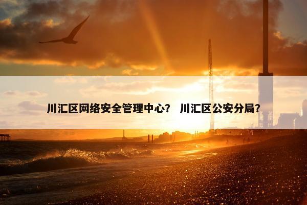 川汇区网络安全管理中心？ 川汇区公安分局？