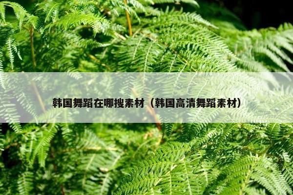 韩国舞蹈在哪搜素材（韩国高清舞蹈素材）