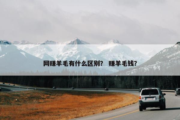 网赚羊毛有什么区别？ 赚羊毛钱？