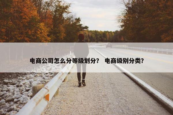 电商公司怎么分等级划分？ 电商级别分类？