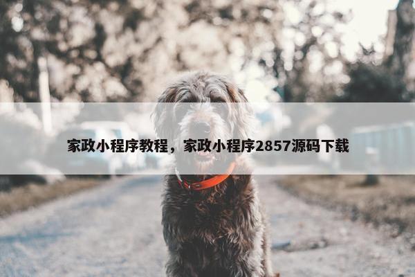 家政小程序教程，家政小程序2857源码下载