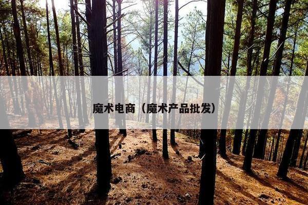 魔术电商（魔术产品批发）