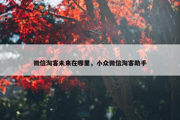 微信淘客未来在哪里，小众微信淘客助手