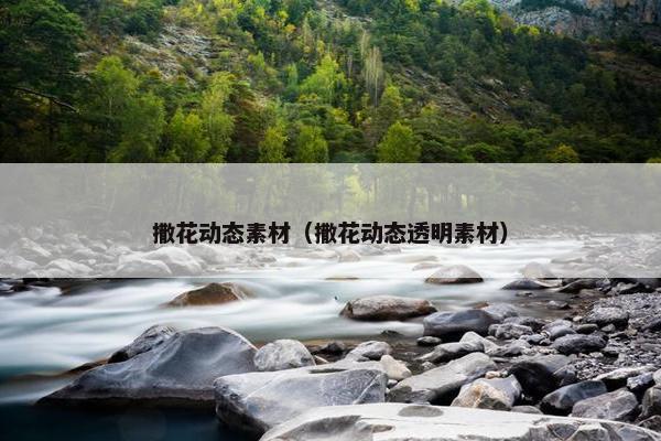 撒花动态素材（撒花动态透明素材）