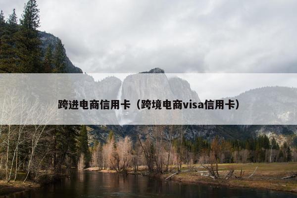 跨进电商信用卡（跨境电商visa信用卡）