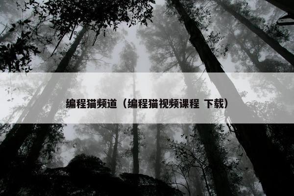 编程猫频道（编程猫视频课程 下载）