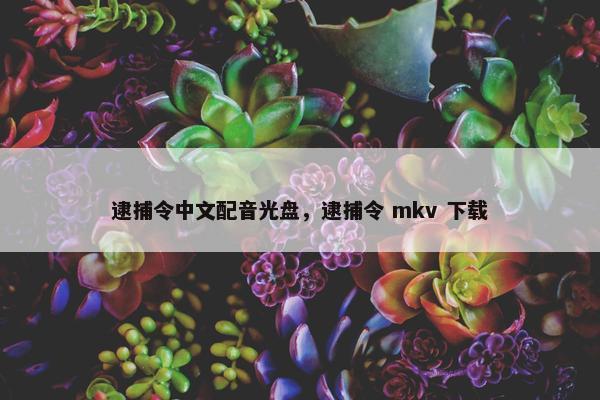 逮捕令中文配音光盘，逮捕令 mkv 下载