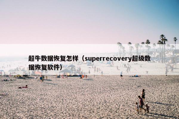 超牛数据恢复怎样（superrecovery超级数据恢复软件）