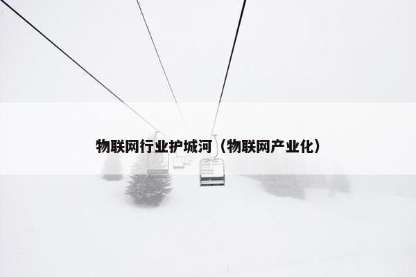 物联网行业护城河（物联网产业化）