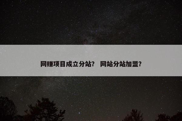 网赚项目成立分站？ 网站分站加盟？