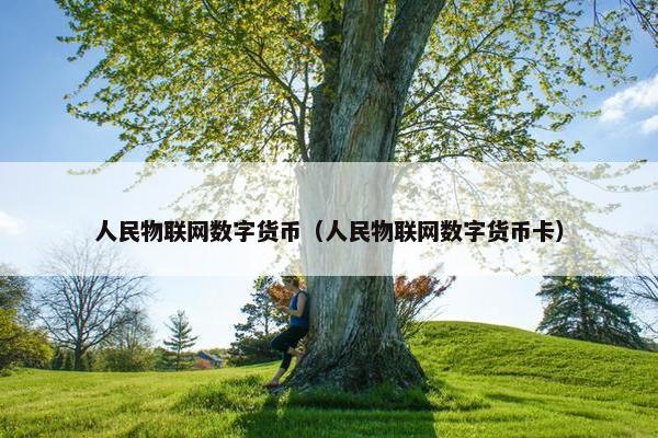 人民物联网数字货币（人民物联网数字货币卡）