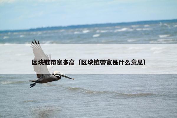 区块链带宽多高（区块链带宽是什么意思）