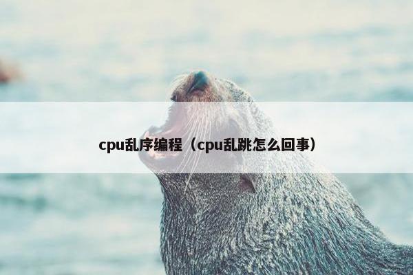 cpu乱序编程（cpu乱跳怎么回事）