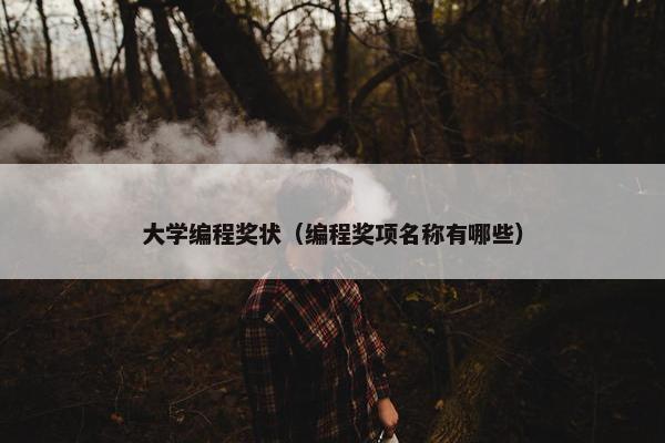 大学编程奖状（编程奖项名称有哪些）