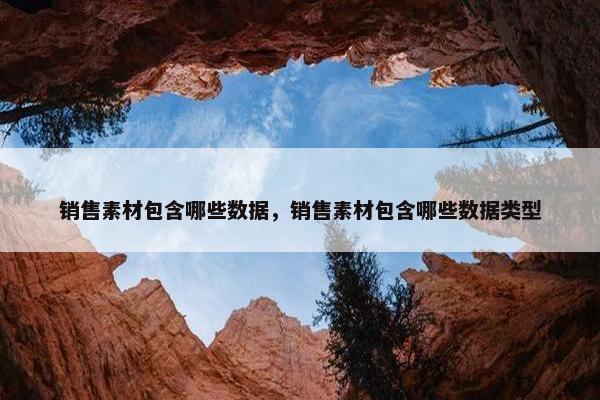 销售素材包含哪些数据，销售素材包含哪些数据类型