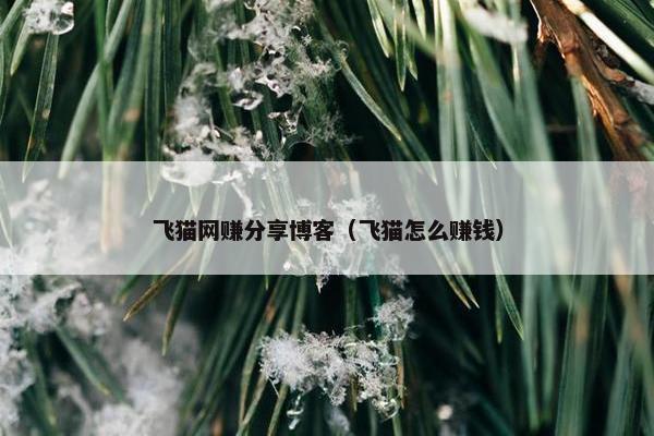 飞猫网赚分享博客（飞猫怎么赚钱）