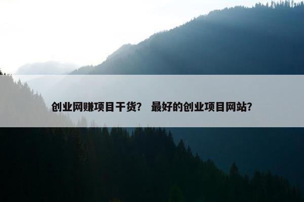 创业网赚项目干货？ 最好的创业项目网站？