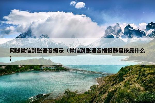 网赚微信到账语音提示（微信到账语音播报器是依靠什么）
